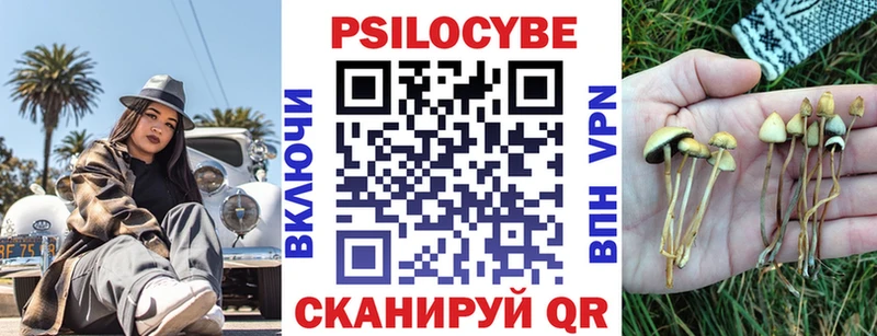 Псилоцибиновые грибы Cubensis  Константиновск 